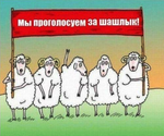 На небесах: "Надо было за шерсть голосовать"