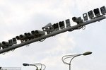 M11465_preview