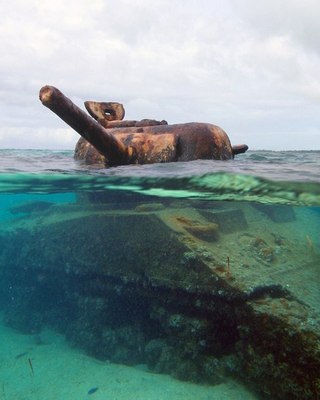 M11660_large