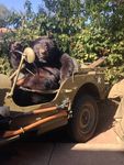 M11769_preview
