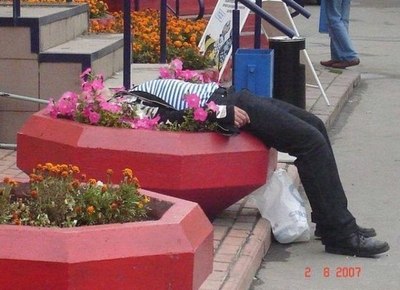 Мужчина  в  цвету.
