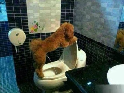 : "Дедушка, ёкарный ты бабай! Последний раз тебе показываю!"