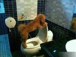 : "Дедушка, ёкарный ты бабай! Последний раз тебе показываю!"