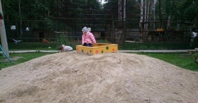 - Когда уже эти коты нагребутся...