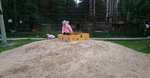- Когда уже эти коты нагребутся...