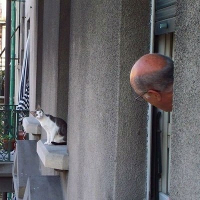 Сосед, чего опять парик потерял?:)