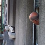 Сосед, чего опять парик потерял?:)