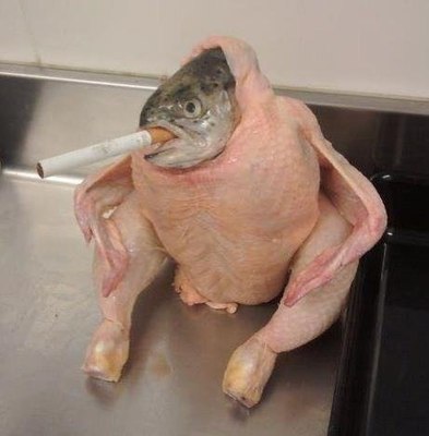Не рыба, не мясо, а куришь