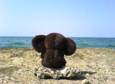 ...На небе только и разговоров, что о море и о закате...