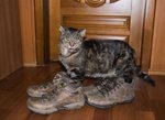 M13474_preview