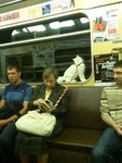 Кот-поводырь - специалист по подземелью