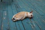 Свой в доску 
