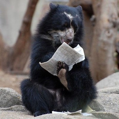  Мы не ходим в туалеты, если нет свежей газеты!