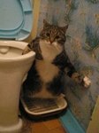 : "Будь как дома, хочешь чаю?  Заходи, я угощаю!"