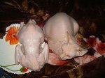 А потом суп с котом