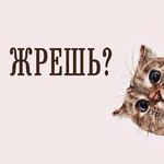 сегодня у меня масленица!
