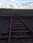  Куда смотрит Лобачевский?! Ведь пересекаются!