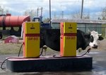 Заправляюсь крайний раз. Завтра перейду на газ!