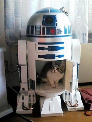 M17109_large