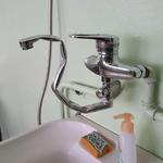 Сантехник Петрович, никого не спрося,  душил на работе и дома гусЯ. 