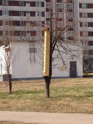 M17567_large