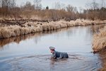  ППС - Патрульно-Прудовая-Служба.