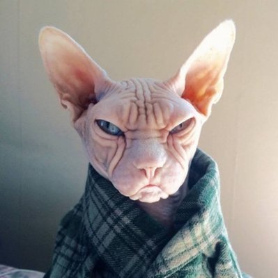 - Мне нужна твоя одежда!