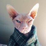 - Вот такая я - не накрашенная.