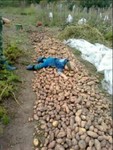 Конопатый Антошка пытается скрыть убийство дедушки
