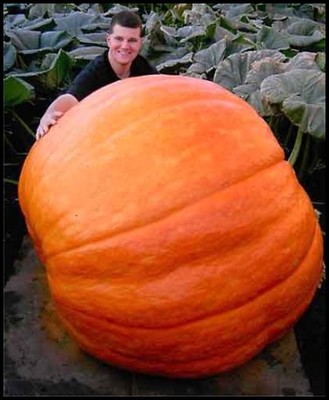M18499_large