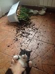  : "Уберите руки! Я требую адвоката!"