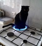 у меня на кухне горячая киска 