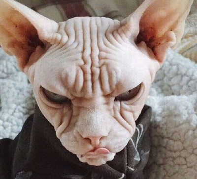 уснул в горячей ванне 
