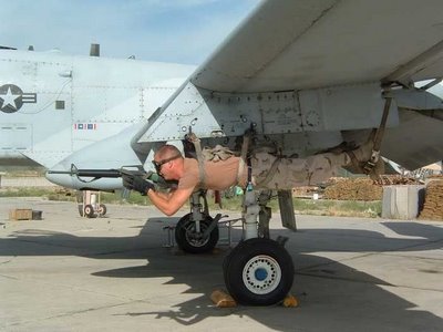 M2329_large