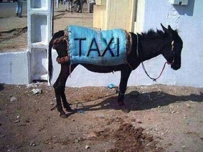  : "Товарищ ветеринар, от такой работы у меня ТАХИкардия..."