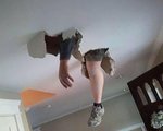 Аист, не донёс ребёнка в Челябинск.