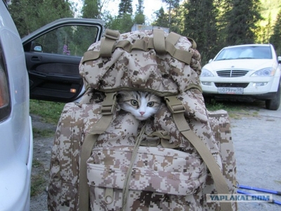 M21246_large