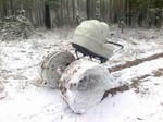 M21684_preview