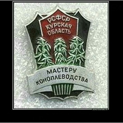 Петровичу вручили значок вчера в обед, а сёдня посадили его на десять лет!