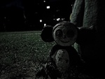 M22892_preview