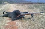 M23546_preview