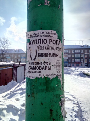  Могу предложить свои. Торг уместен.