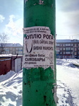  Могу предложить свои. Торг уместен.