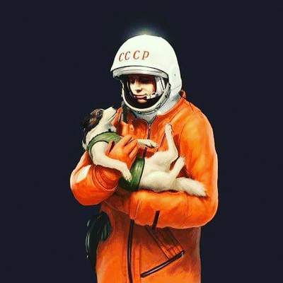  : "Юра, ну почему я сказала ГАВ, а не ПОЕХАЛИ?"