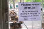  : "Не врите, суки! Я ж их брат!"