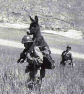 M25697_large