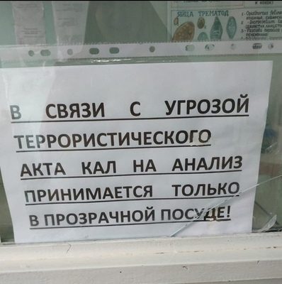 теплый прием 
