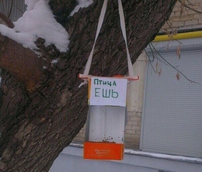 Пасиба, вкюсный птица быль.