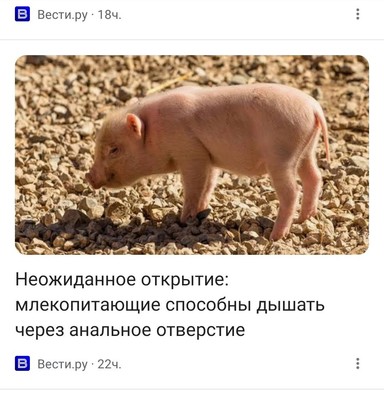 А некоторые  двуногие ещё и тайком курить в запрещённых местах.