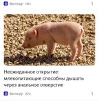 А некоторые  двуногие ещё и тайком курить в запрещённых местах.